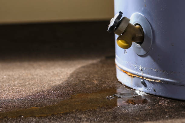 Best Water damage restoration experts  in Kingston, WA