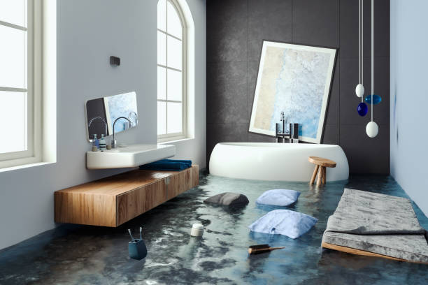 Best Mold removal after water damage  in Kingston, WA