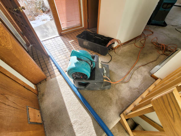 Best Commercial water damage restoration  in Kingston, WA