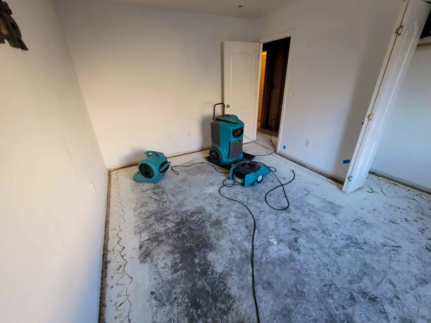 Best Water damage restoration services  in Kingston, WA