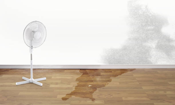 Best Water damage restoration insurance claims  in Kingston, WA
