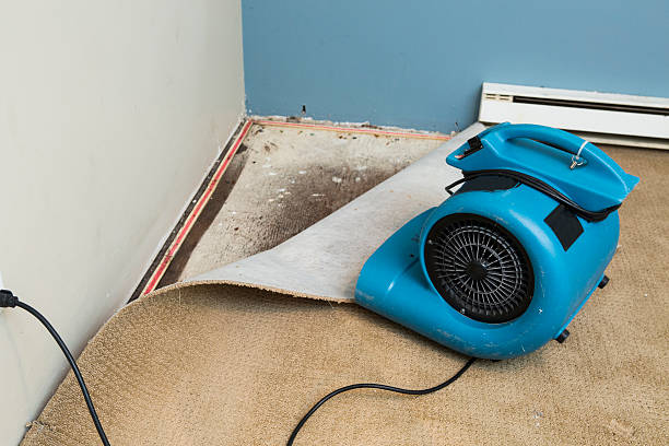 Best Water damage contractors near me  in Kingston, WA